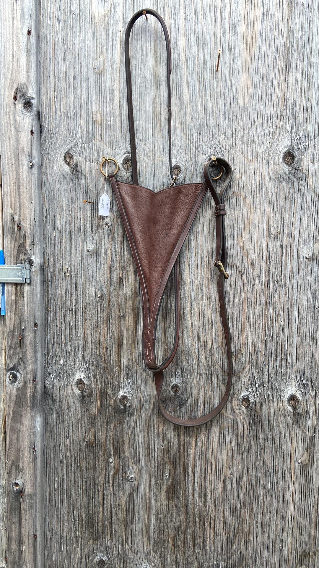 Dyon martingale with bib attachment