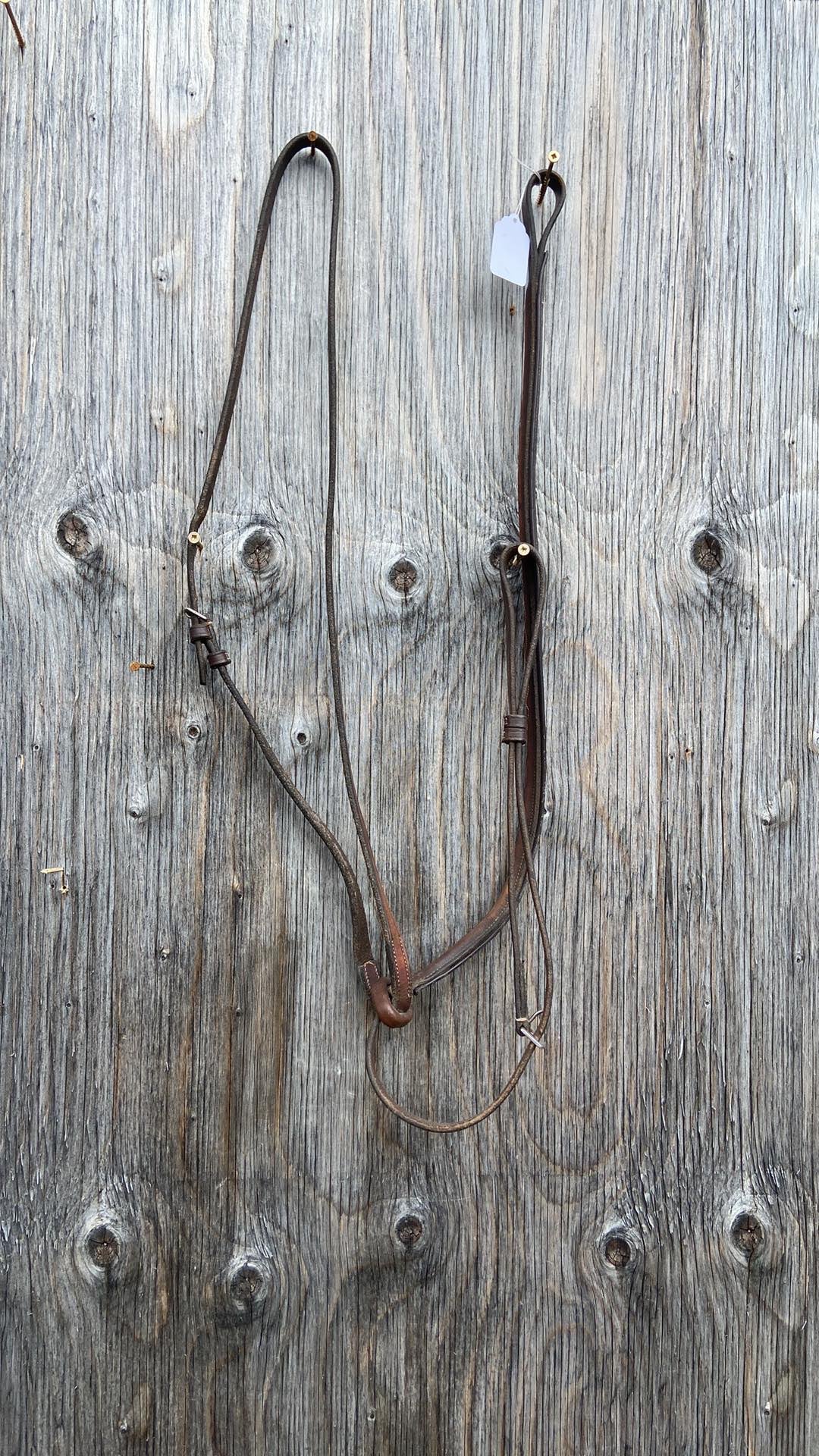 Higher end standing martingale