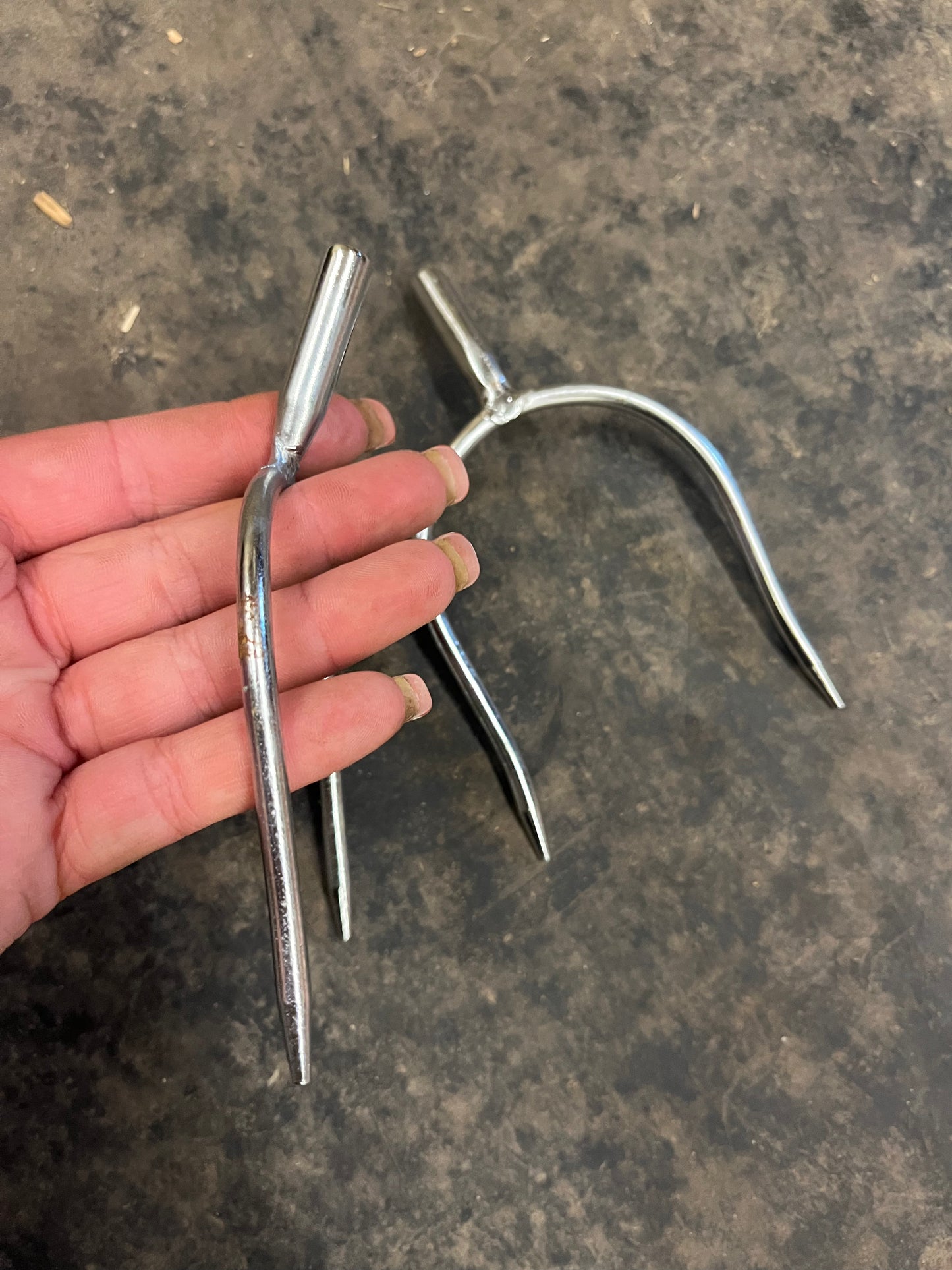 English spurs used