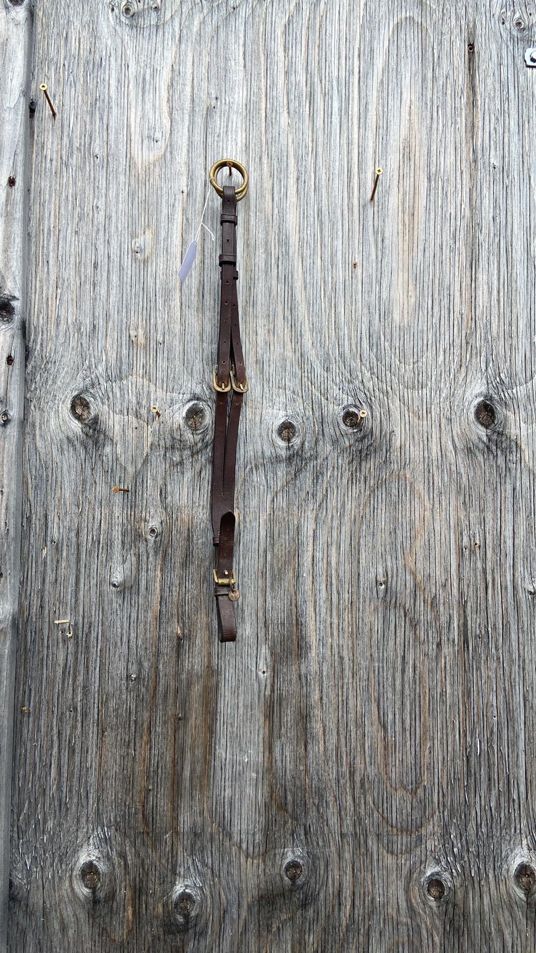Running martingale attachment with brass hardware