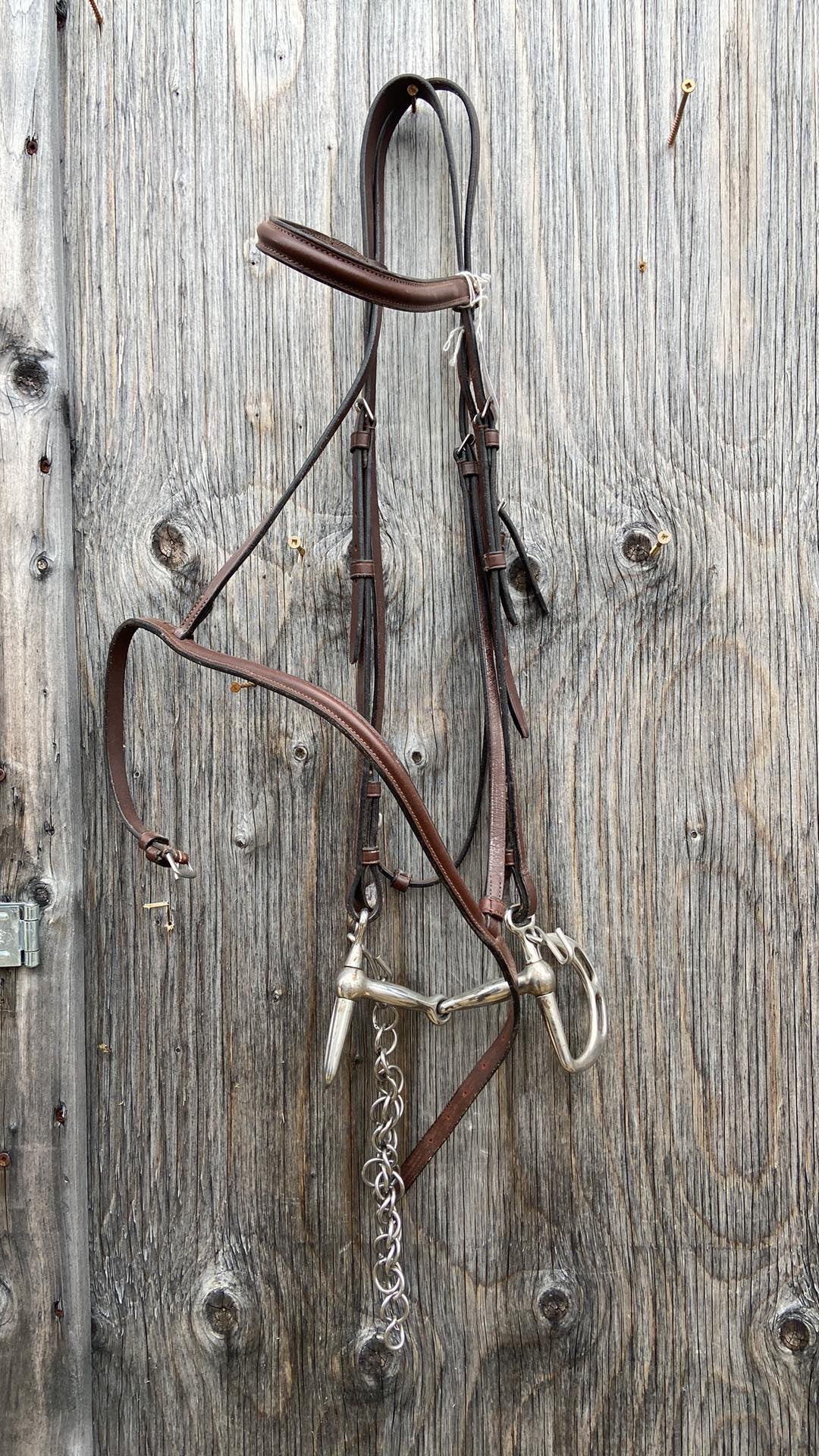 Plain bridle with bit