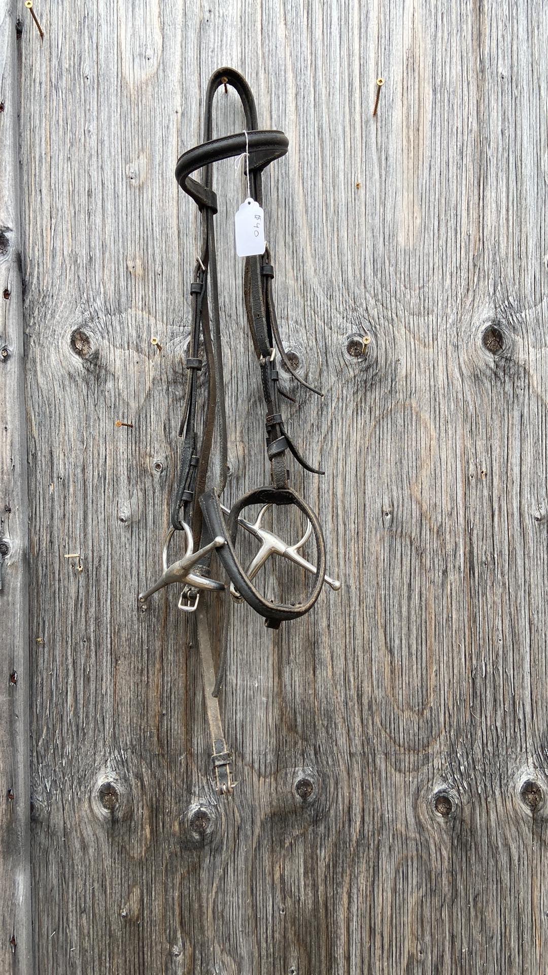 Full size bridle with full cheek