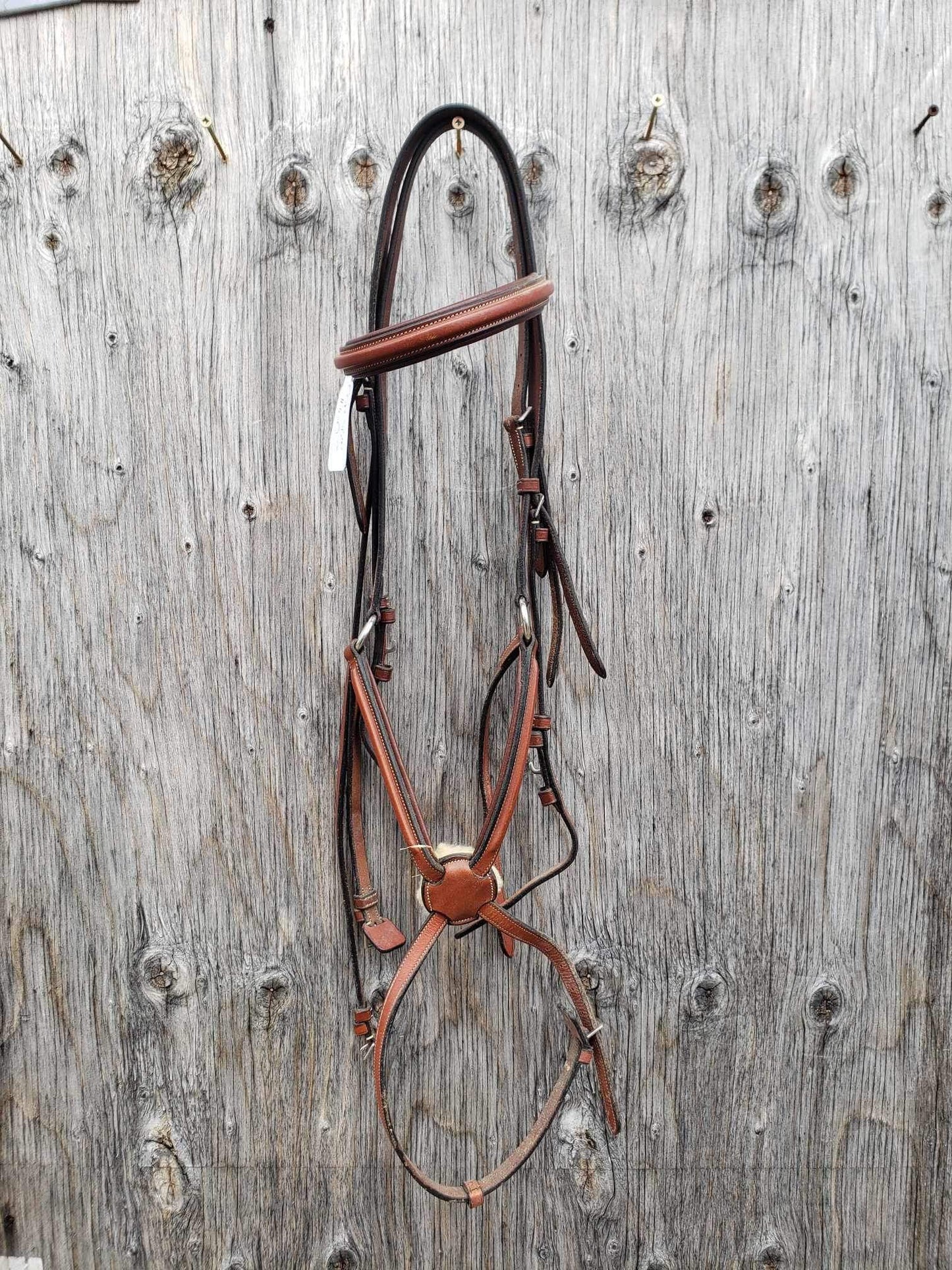 Cob size figure 8 bridle