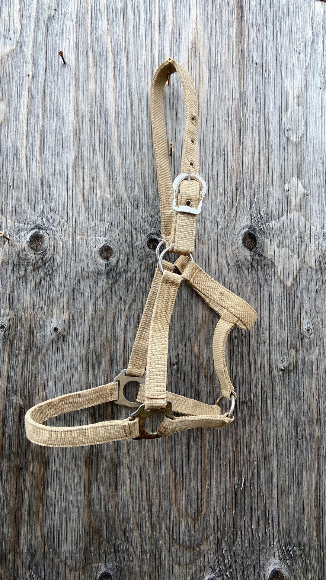 Full size halter