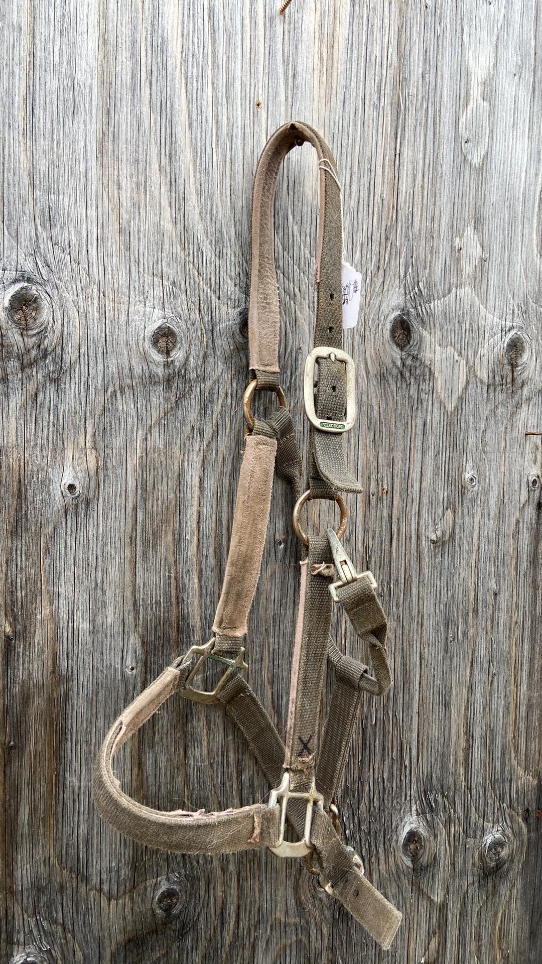 Full size halter
