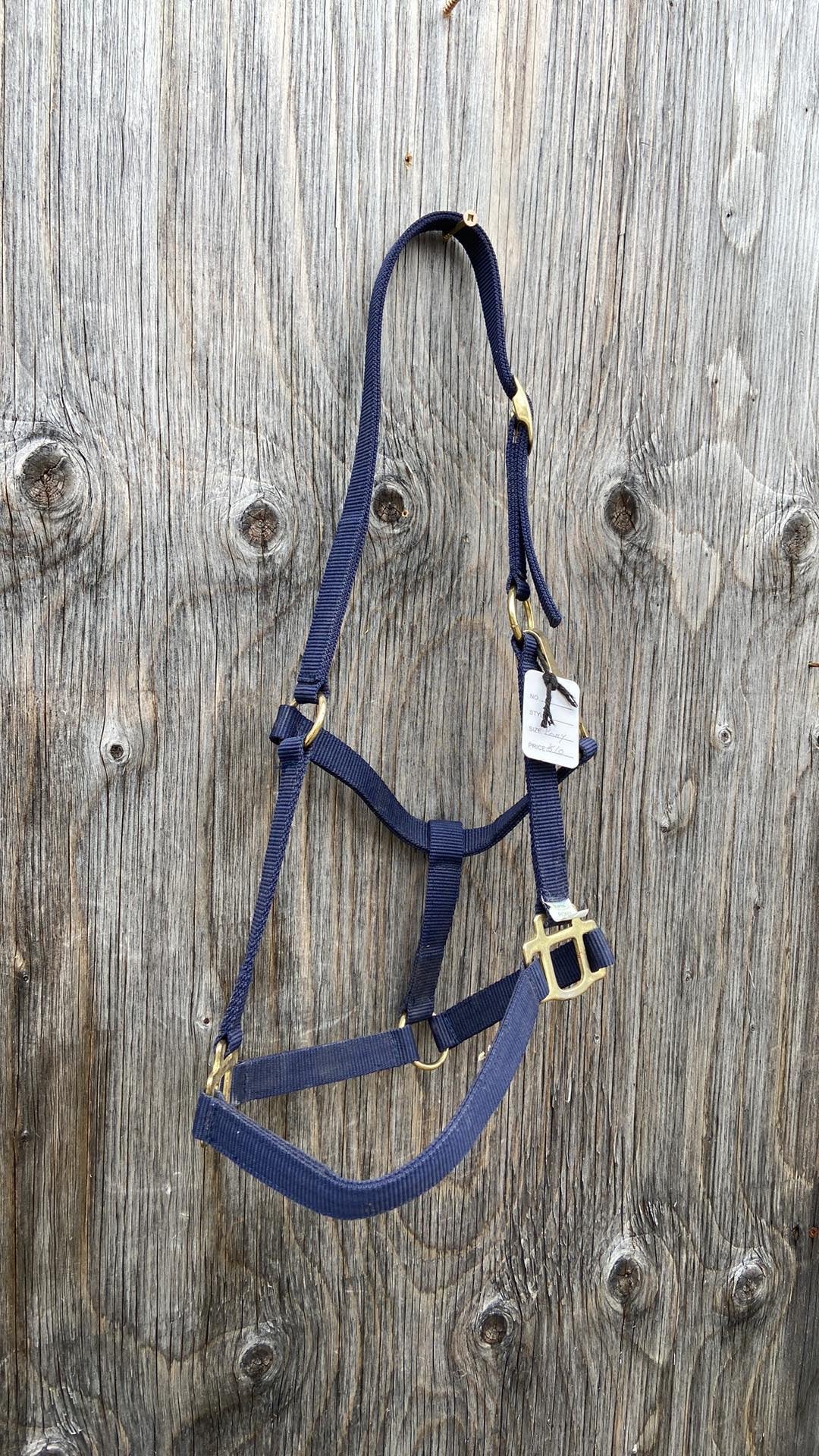 Blue pony halter