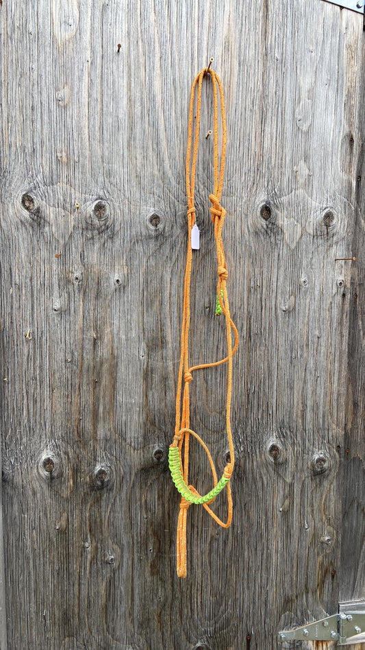 Very Large draft size rope halter