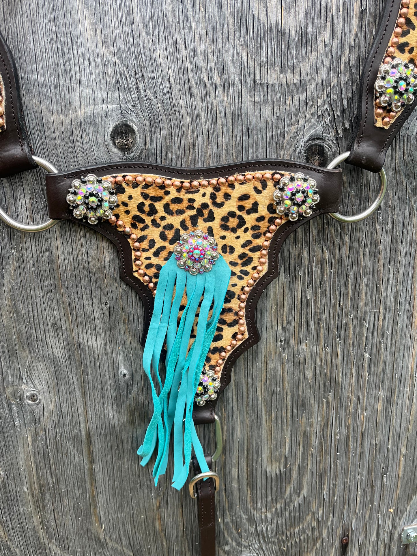 Leopard gladiator set, breastplate is for thick horses!