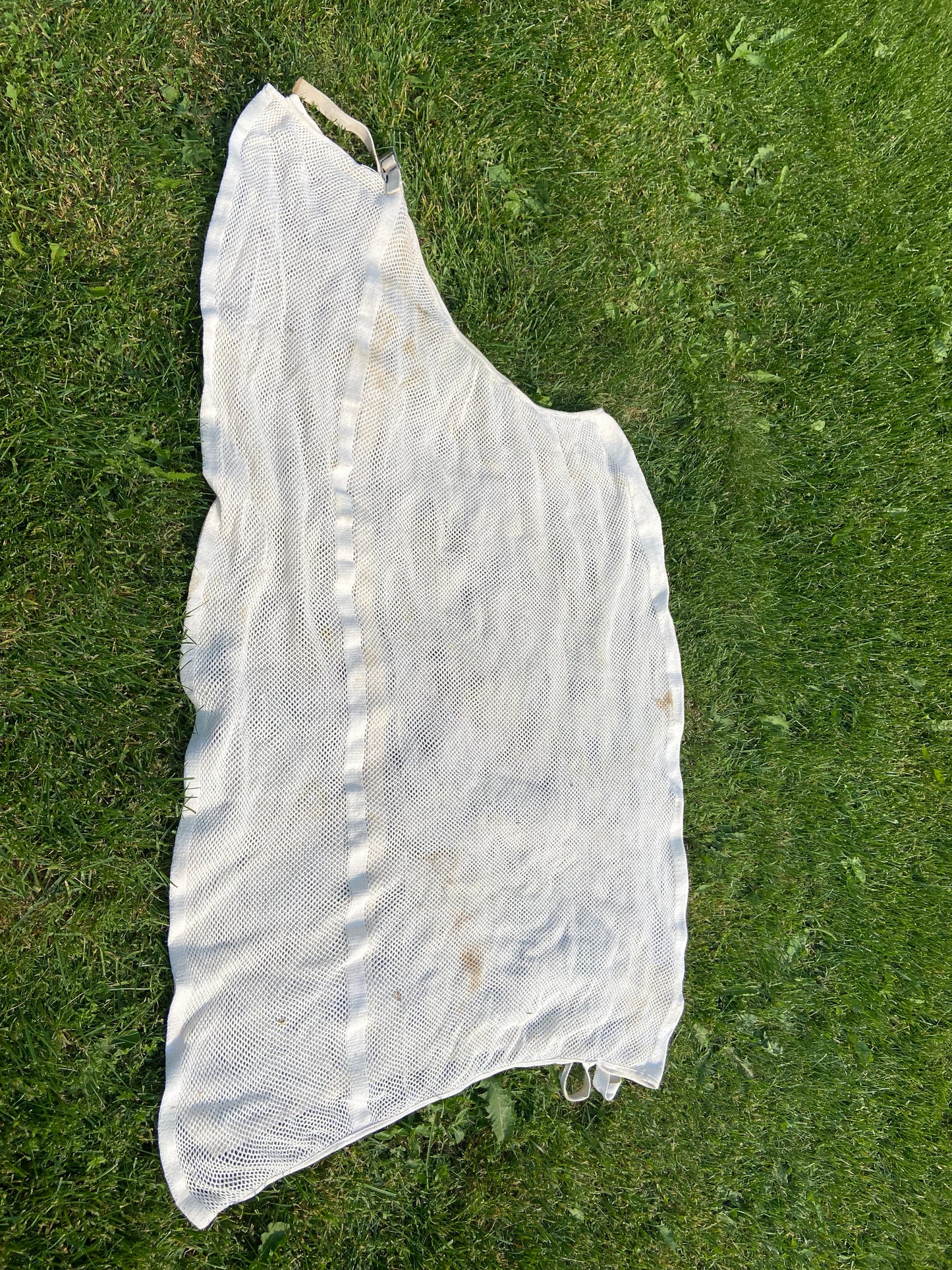 Small scrim