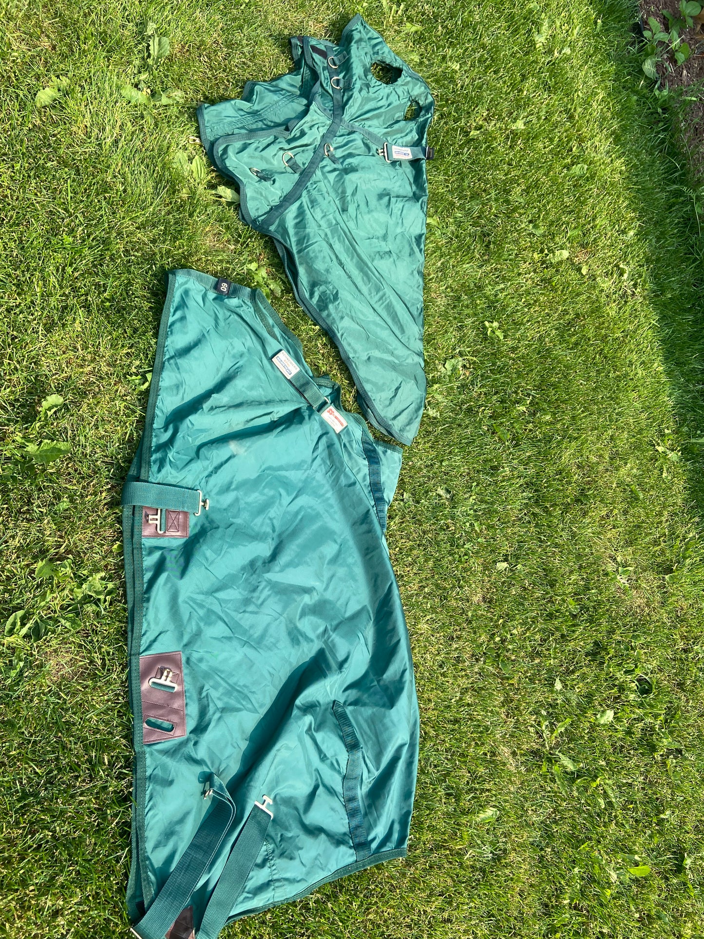 60” shipping set schneiders