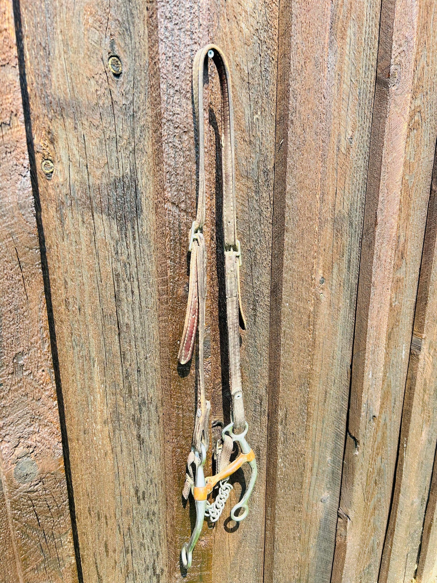 Headstall and bit