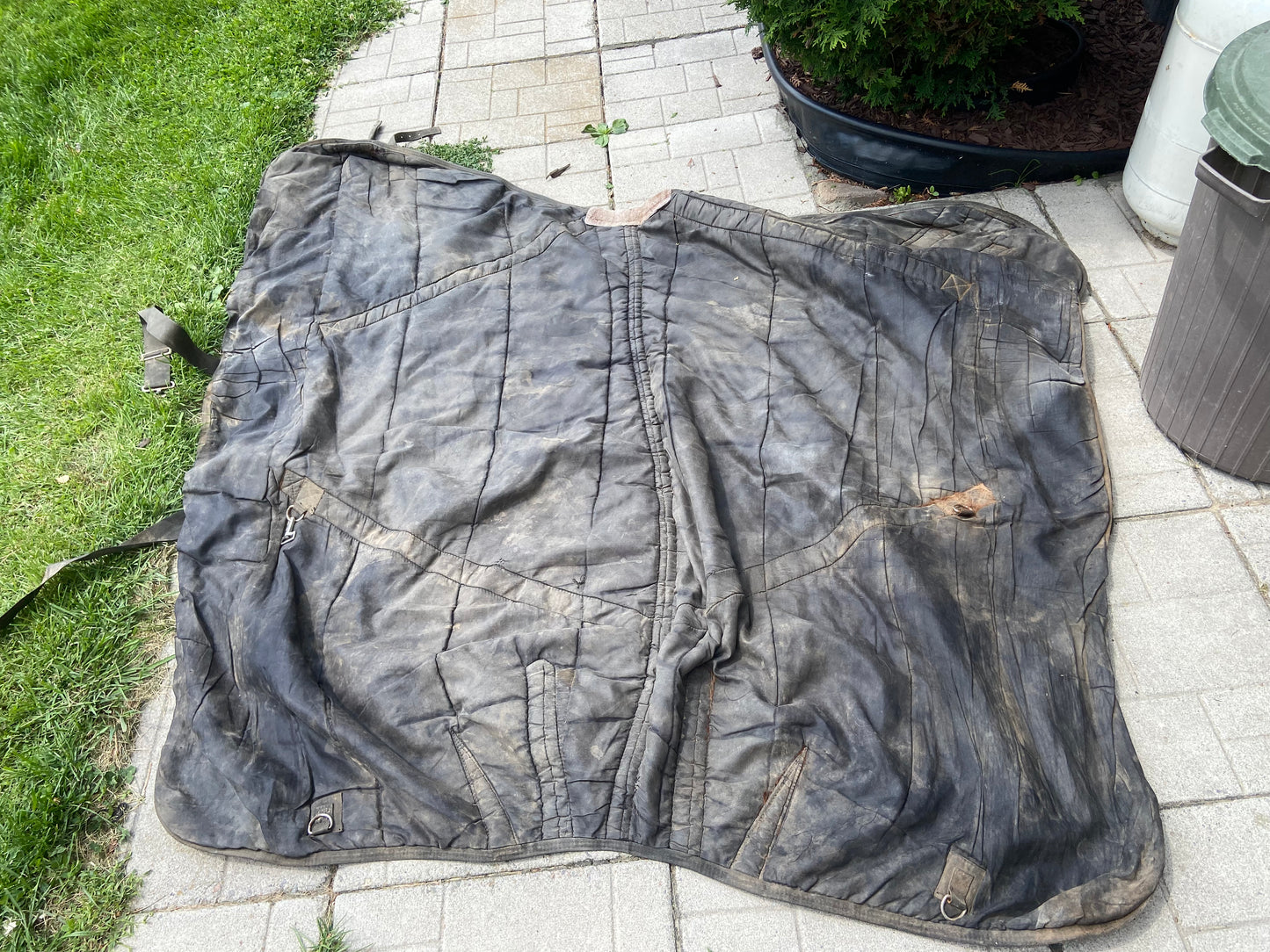 78” used supra stable blanket