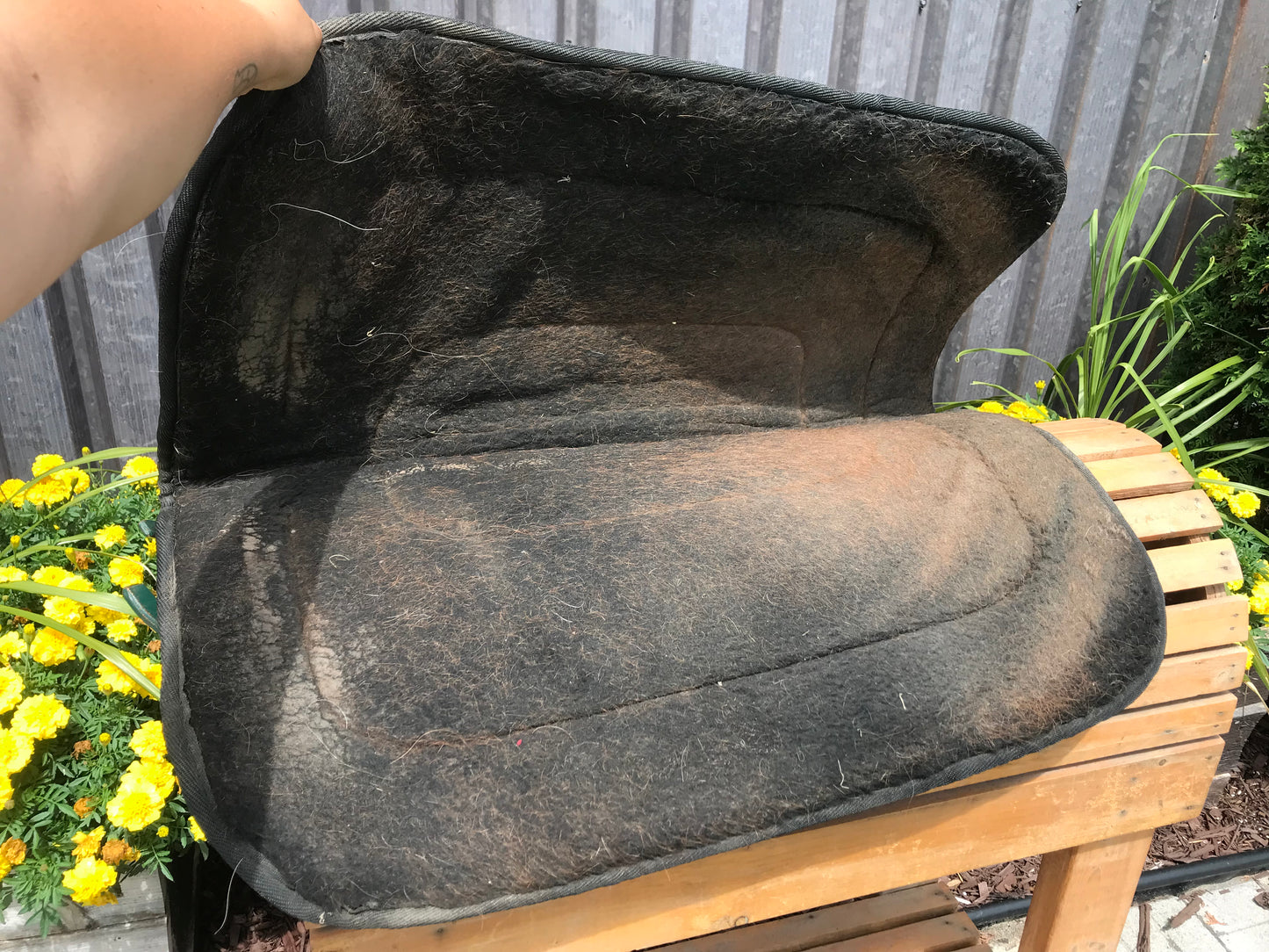 Camo western pad