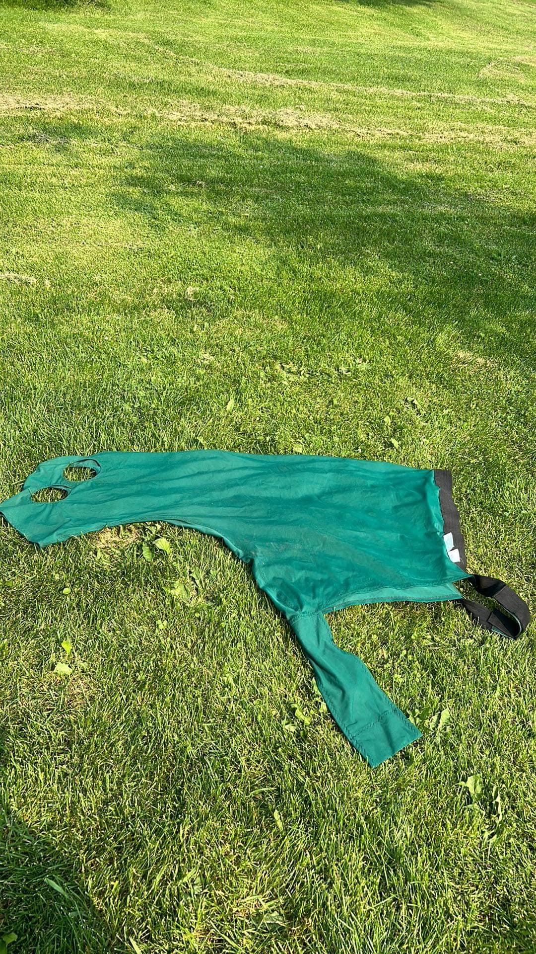 Medium green slinky