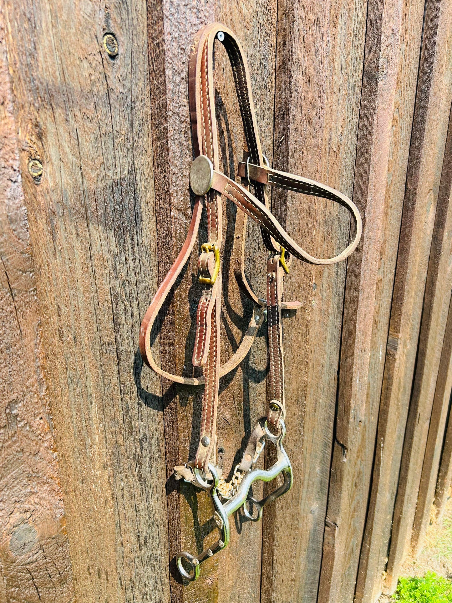 Headstall and bit