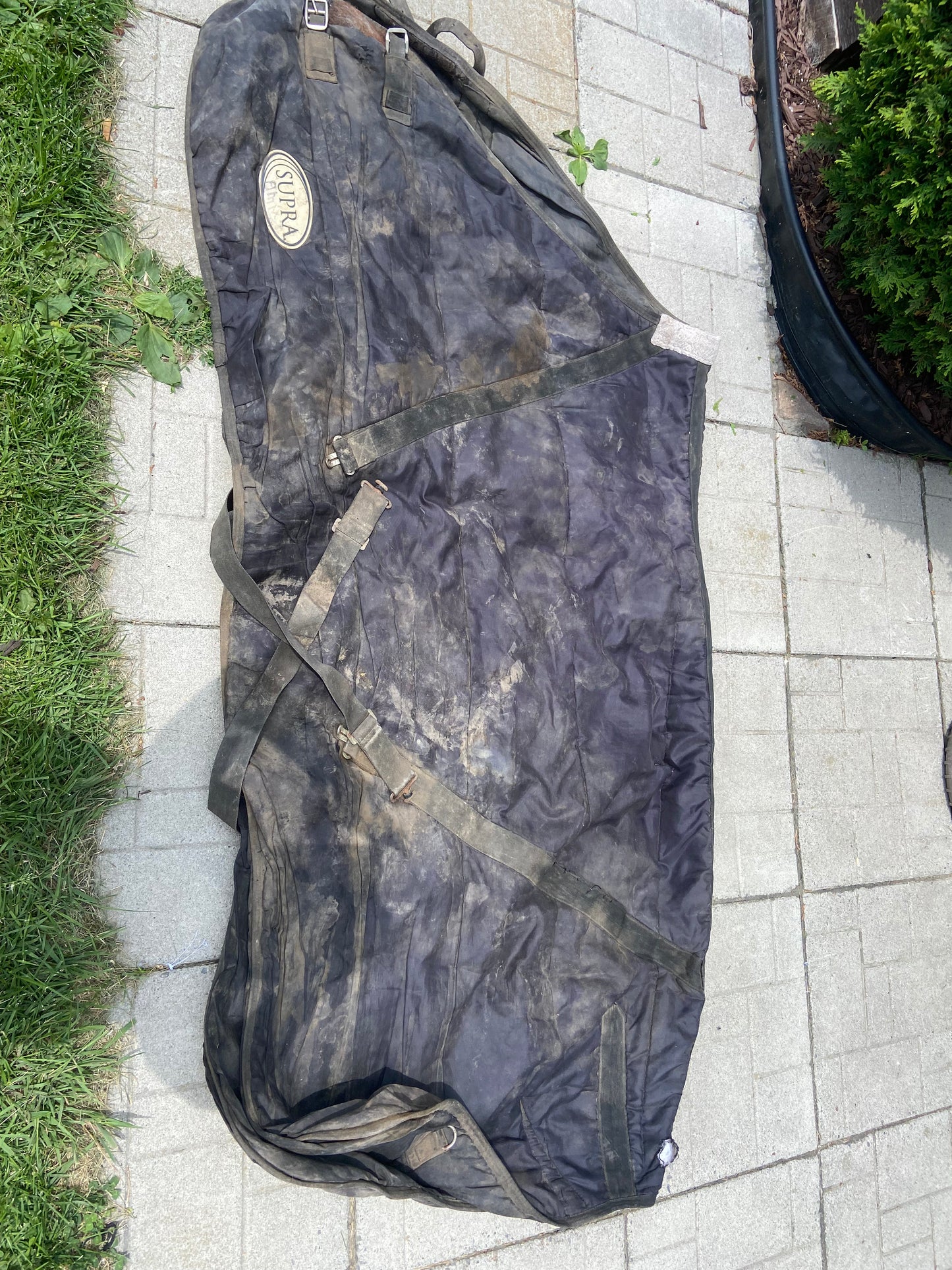 78” used supra stable blanket