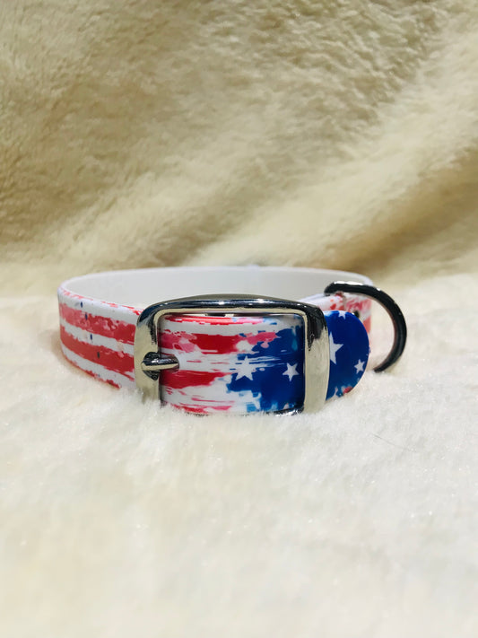 C4 vintage Americana dog collar