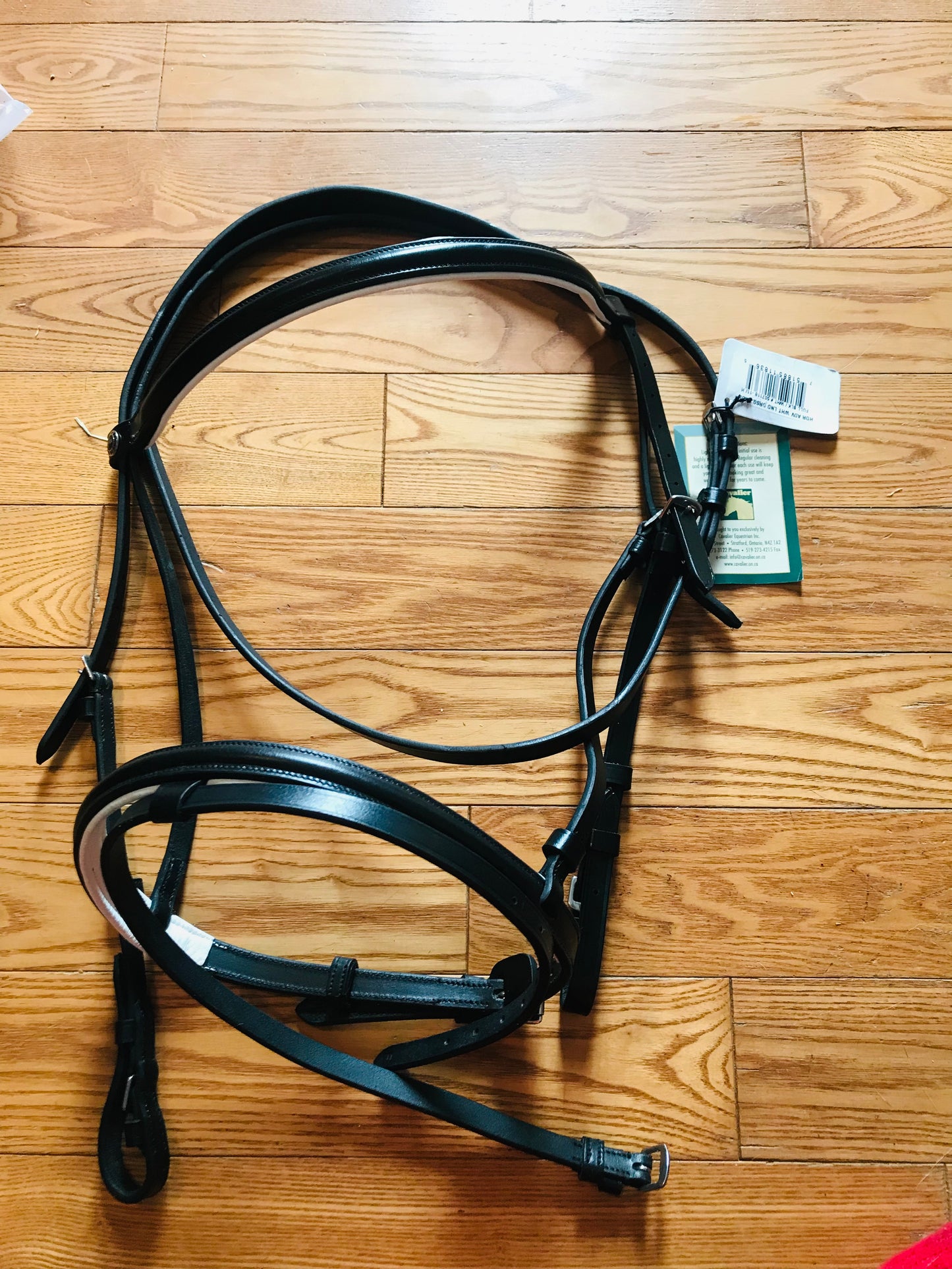 Hdr Dressage bridle and reins full size