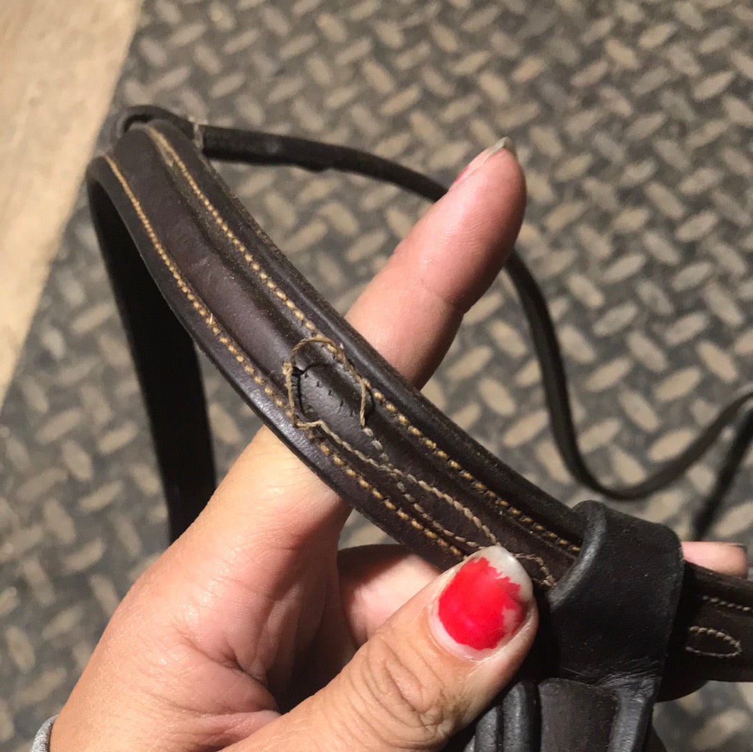 Full size Edgewood noseband with flash