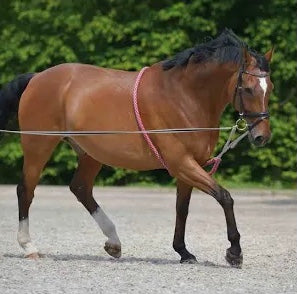 Lunging aid