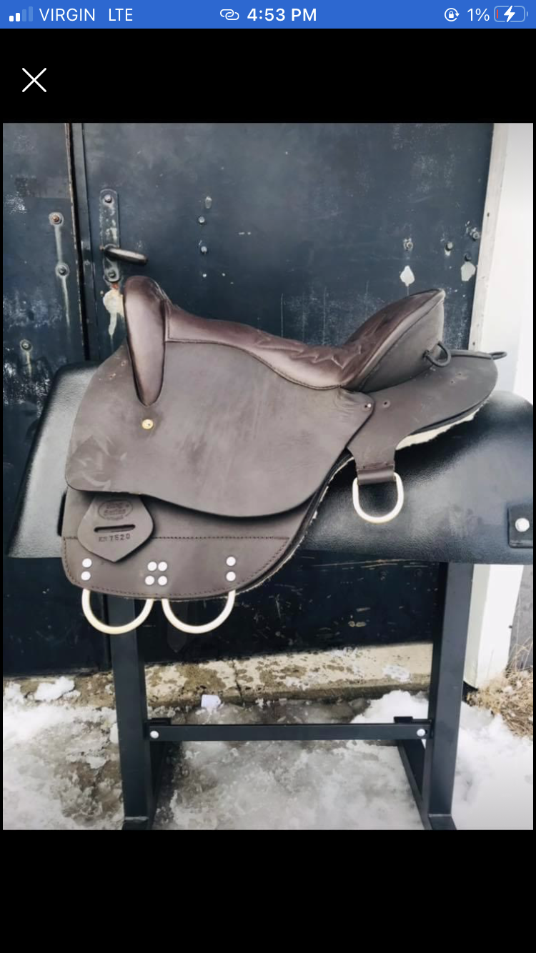 15” king series endurance saddle