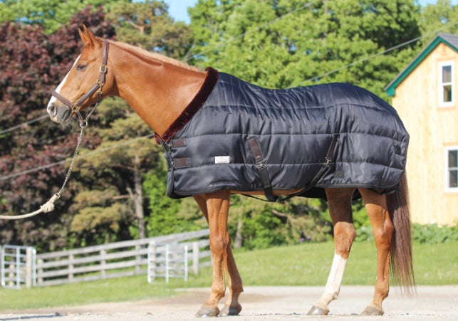 Kentucky Vogue 200 g Black stable rug