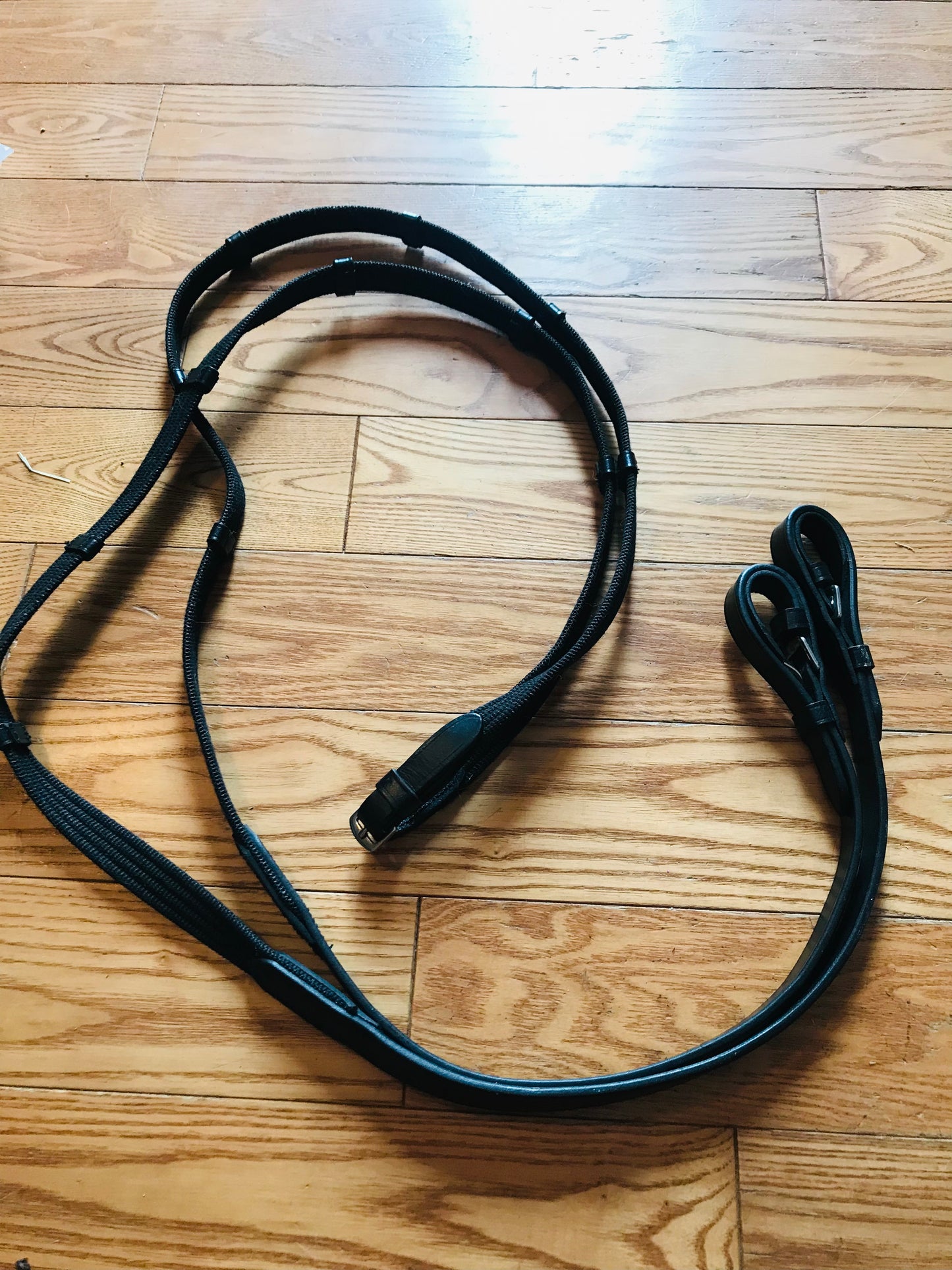 Hdr Dressage bridle and reins full size