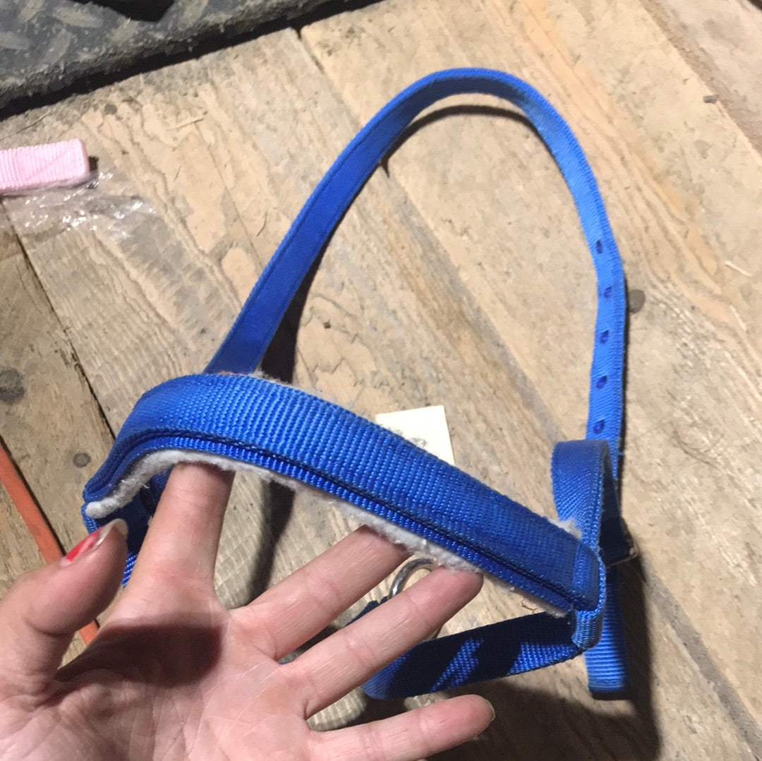 Full size tie down