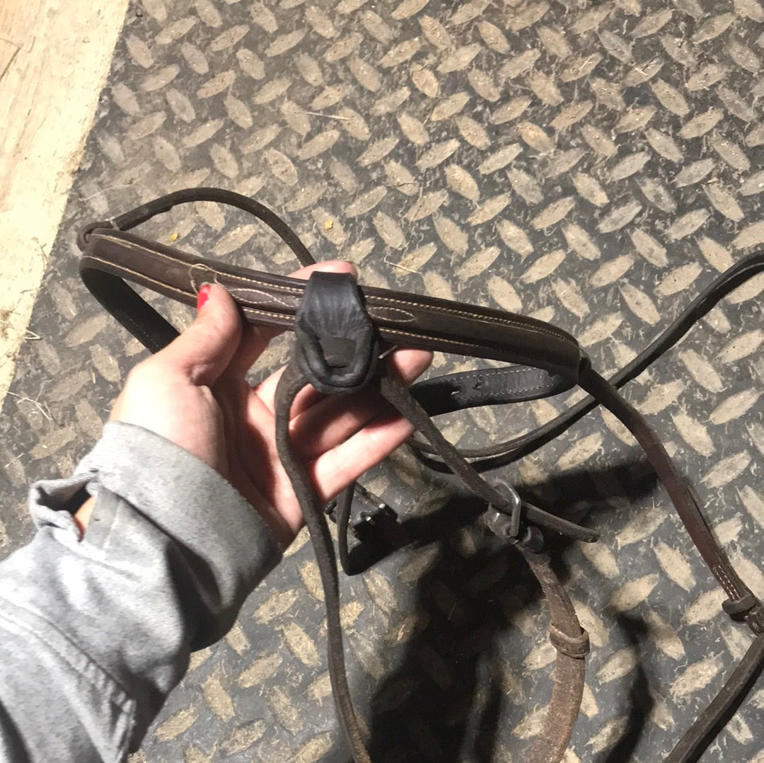 Full size Edgewood noseband with flash