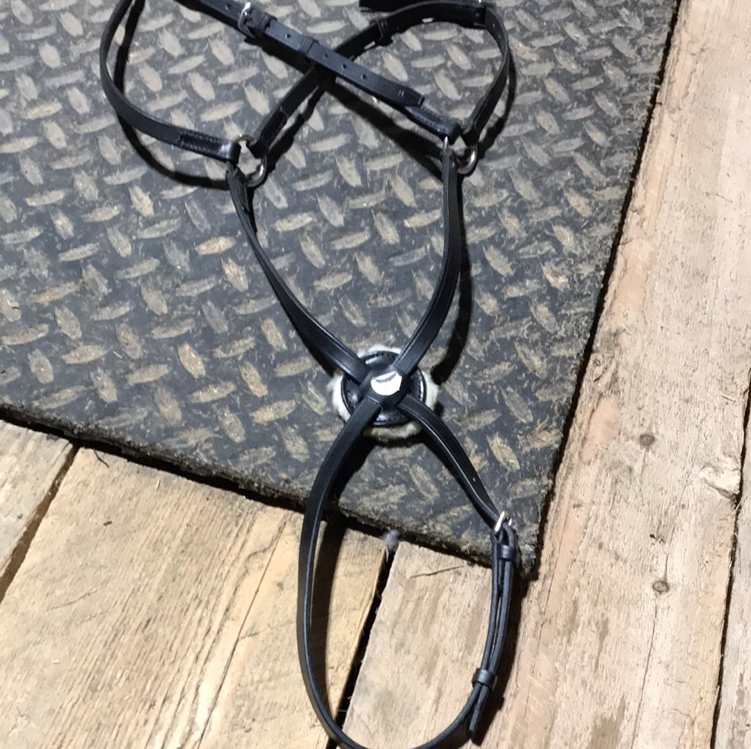 Warmblood figure 8