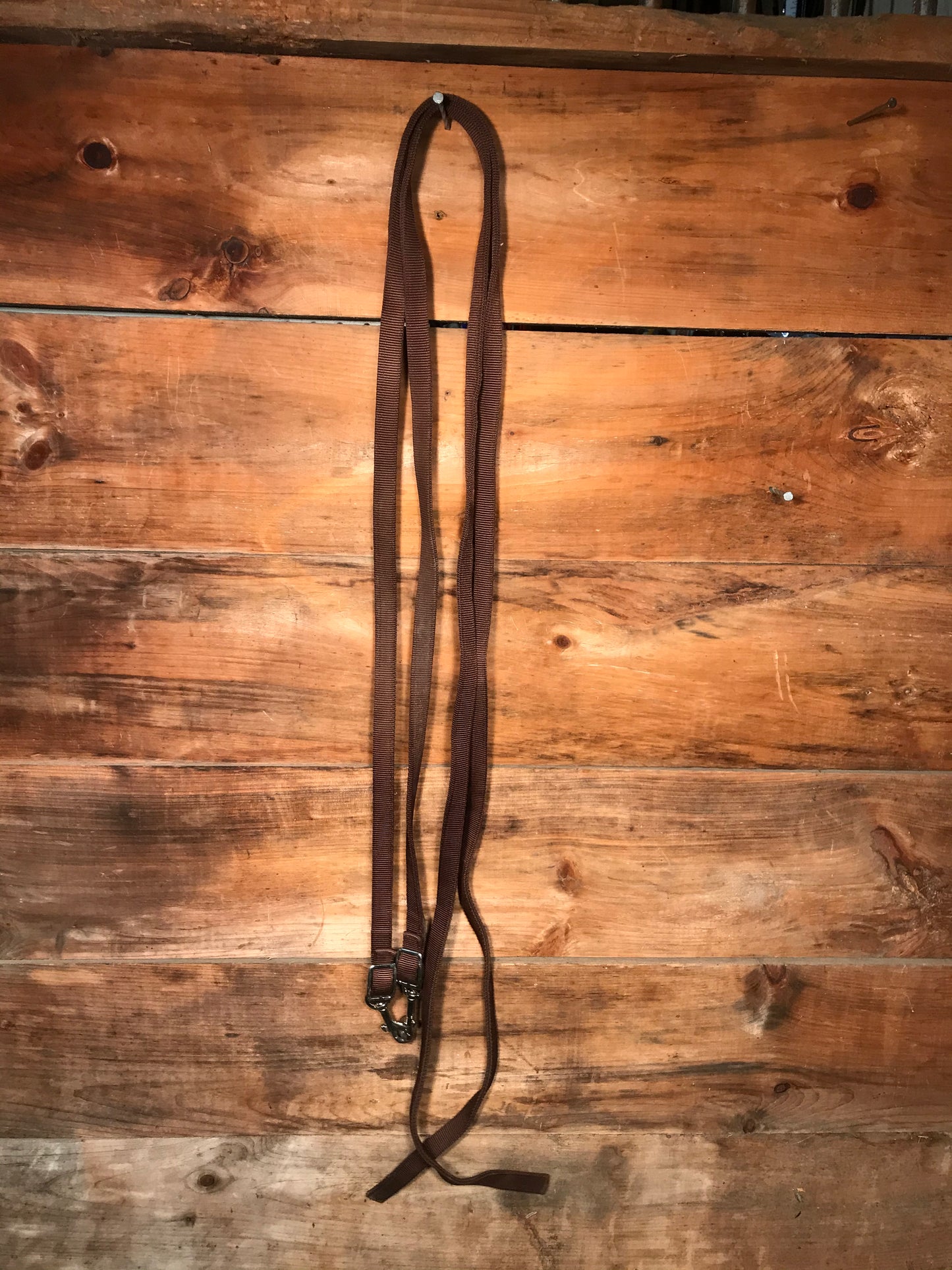 Nylon reins with snaps