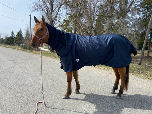 Navy 100 gram turnouts with removable hood