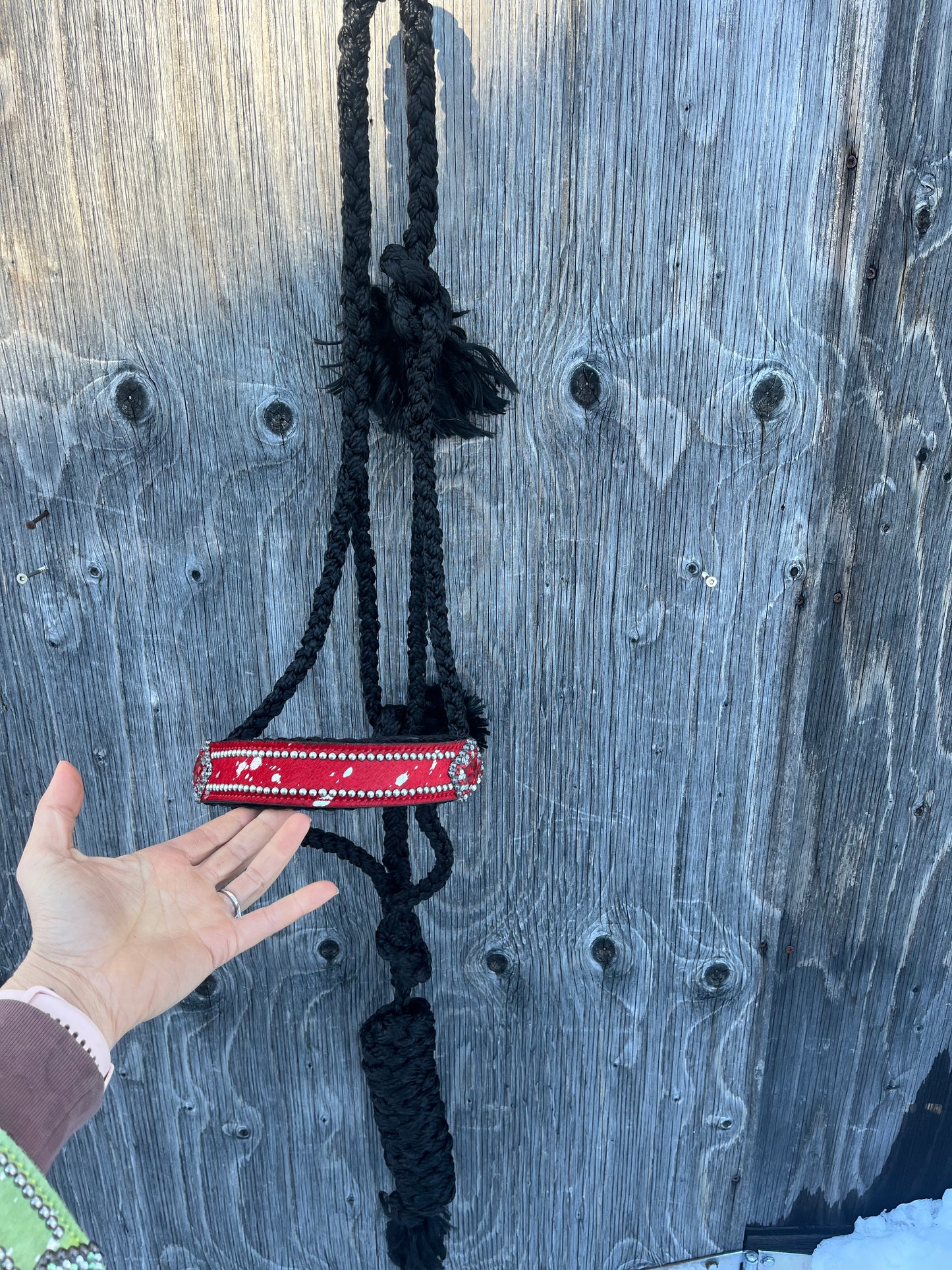 Bronc noseband Muletape halters with lead
