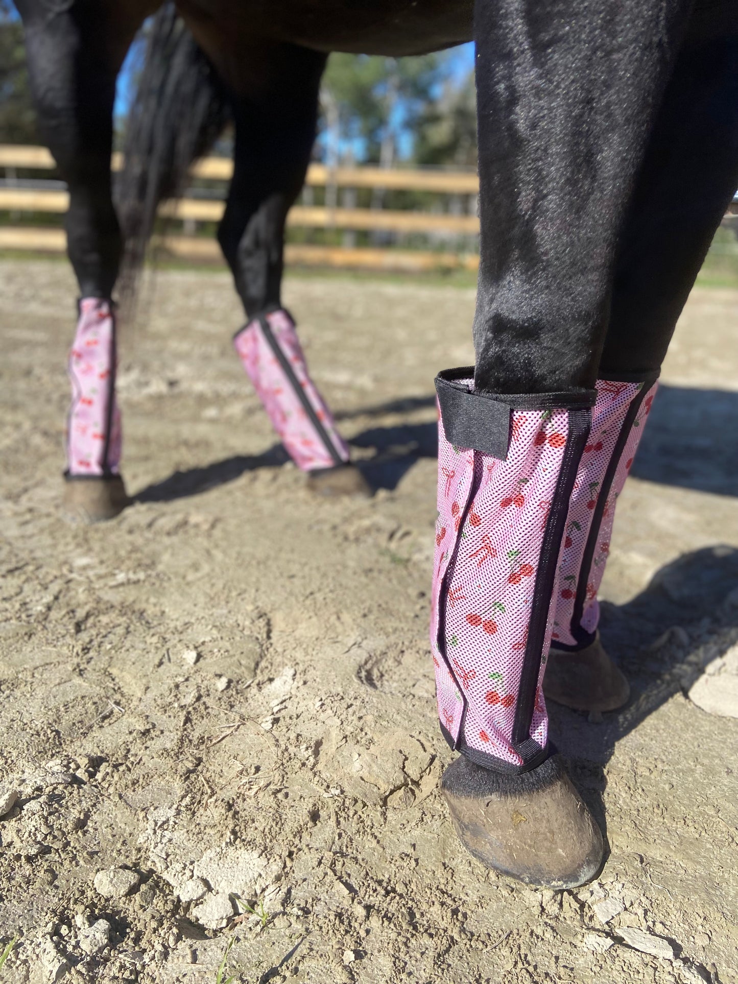 Cherry 🍒 fly boots set of 4 horse size