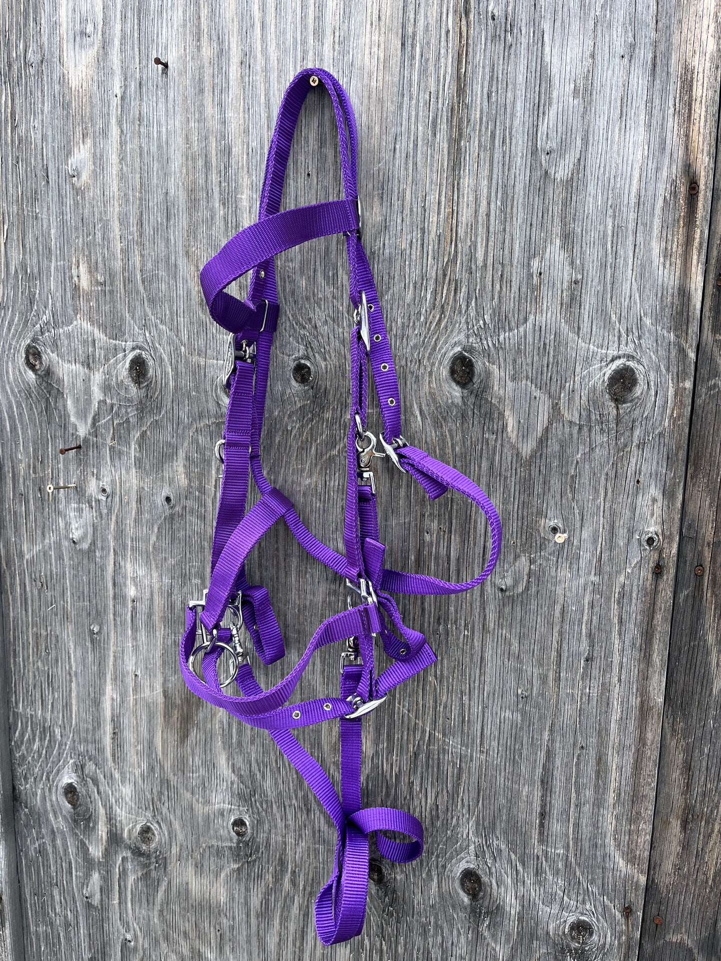 Purple halter/ trail bridle with removable bit loops so you can ride with or without a bit