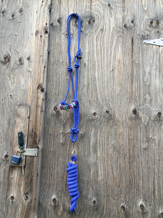 Rope halter with lead