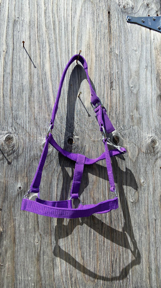 Pony halters 2 colors