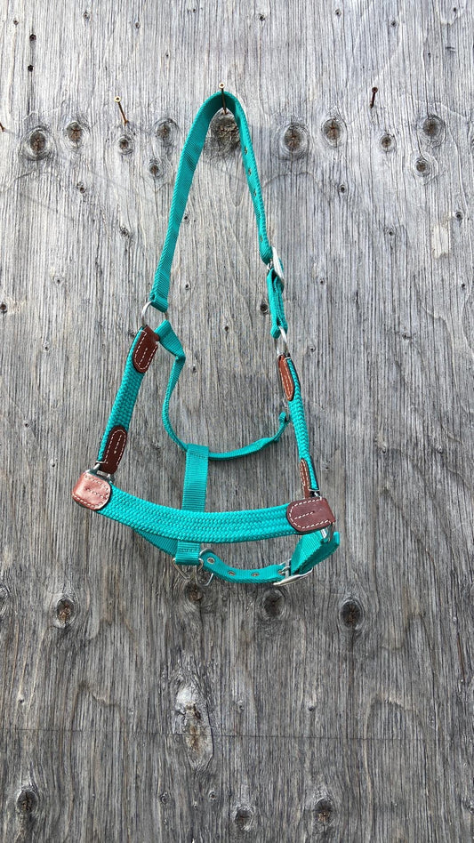 Flat braided full size halters with leather accents