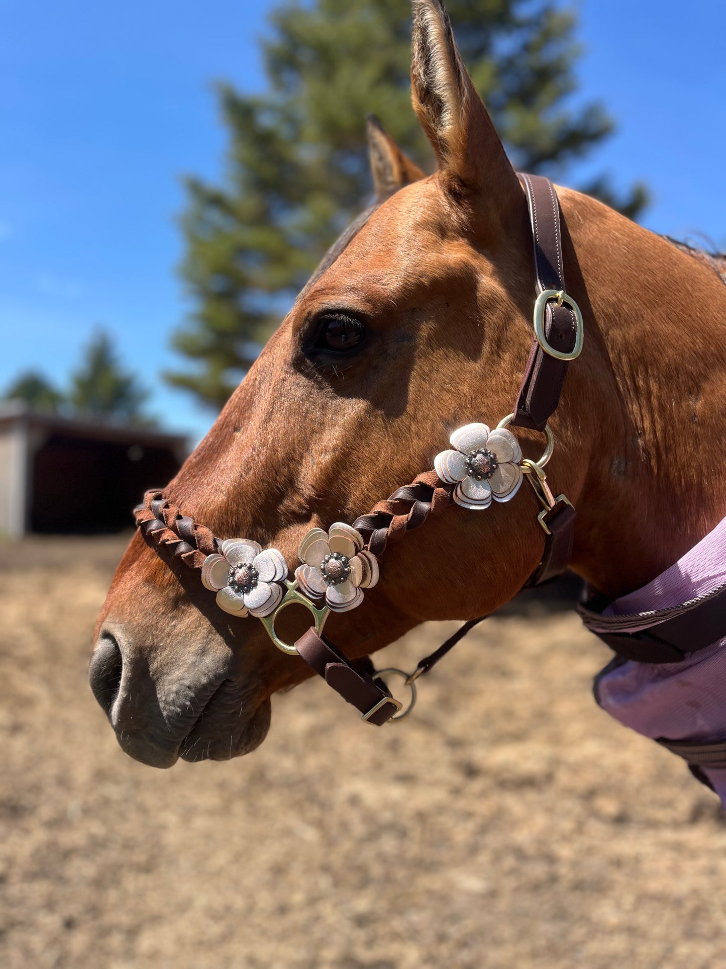 Braided leather halter with flowers