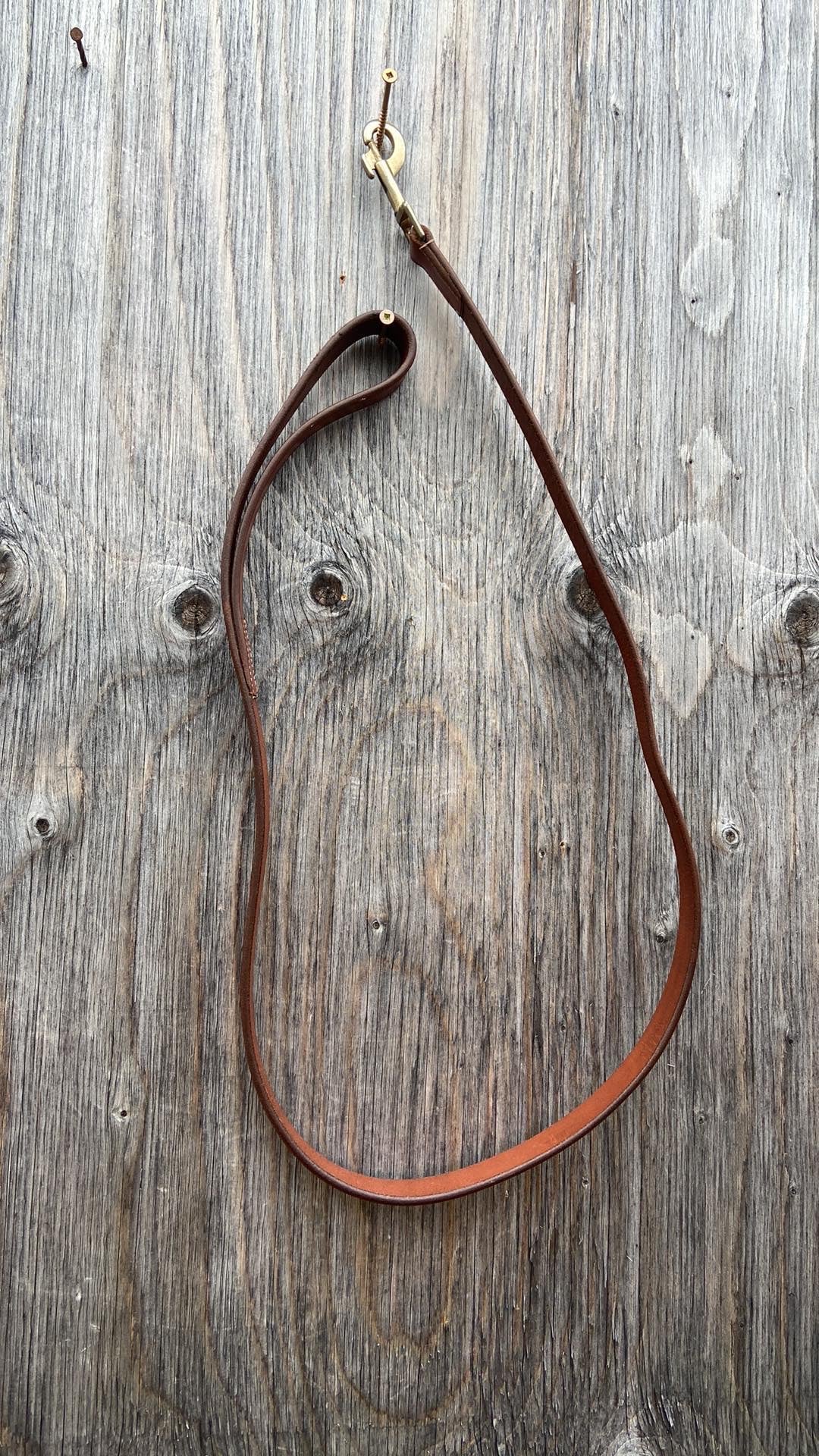 Leather dog leash