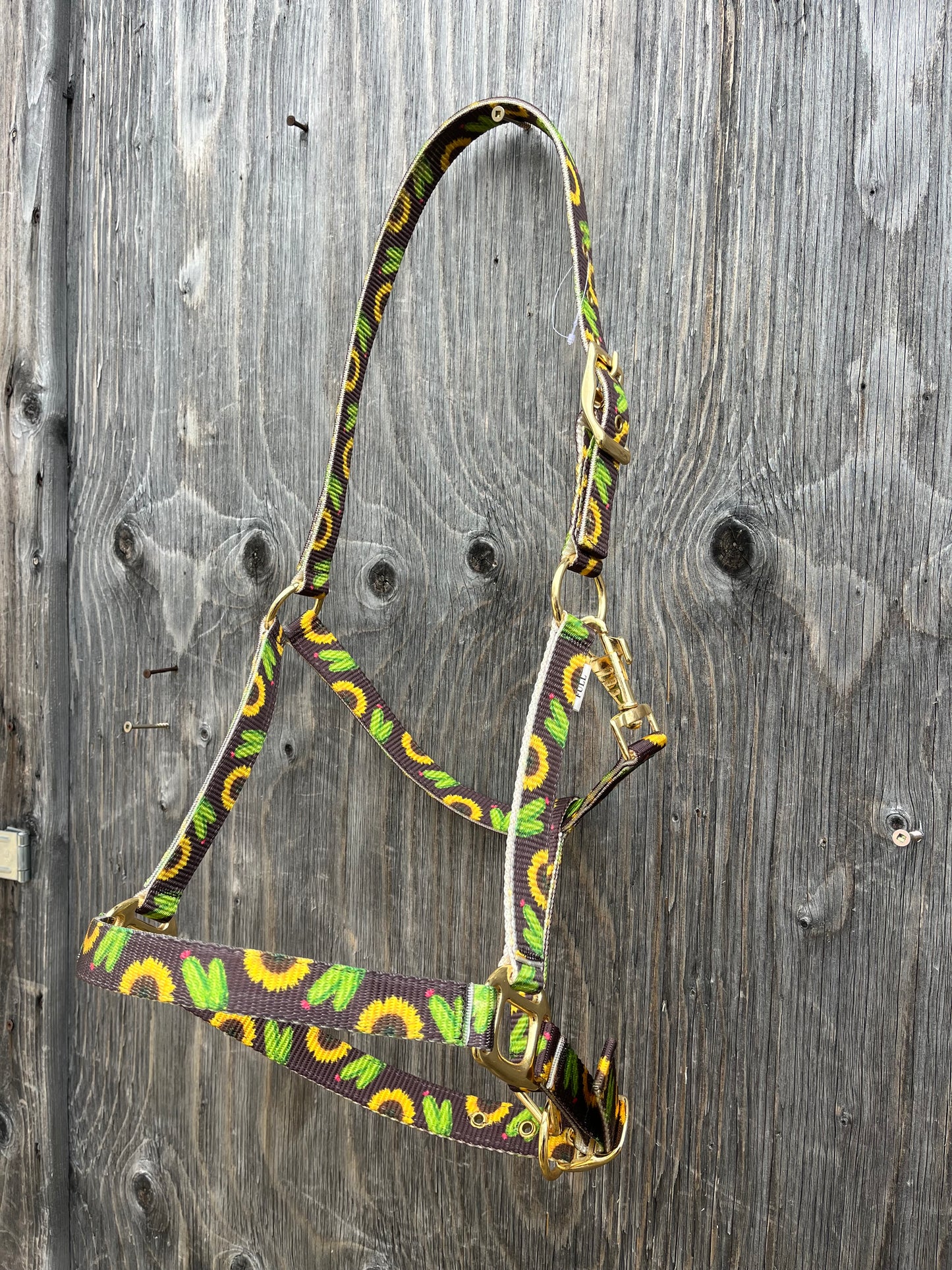 Sunflower cactus halter
