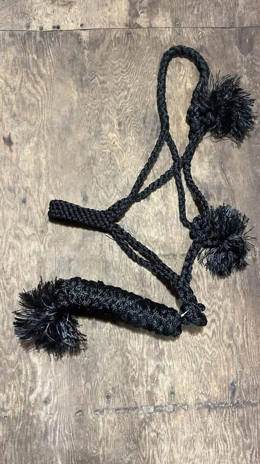 Black Muletape halter with lead