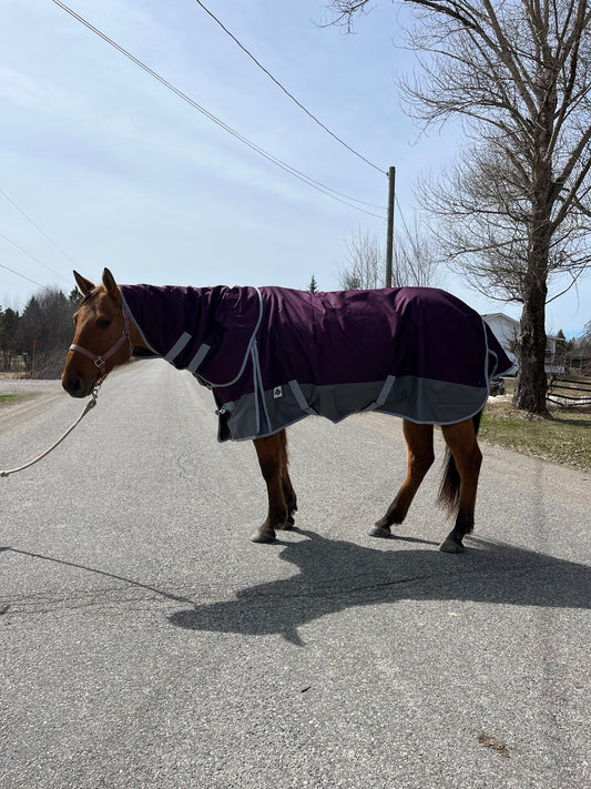 200 gram purple and grey winter turnout with removable hood