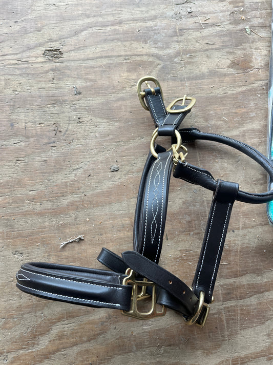 Fancy stitched padded leather halter with brass hardware- you must add your own crown piece.