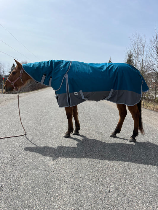 200 gram turquoise and grey turnout with hood