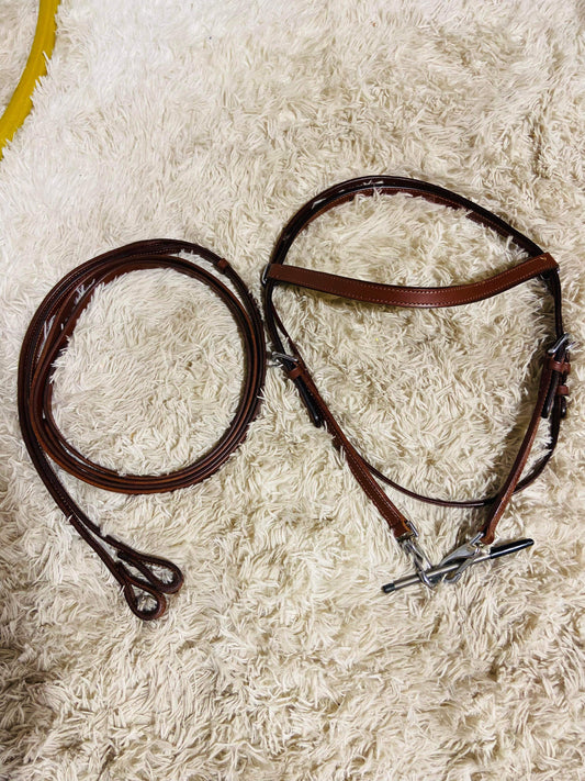 Quick change browband headstall with reins