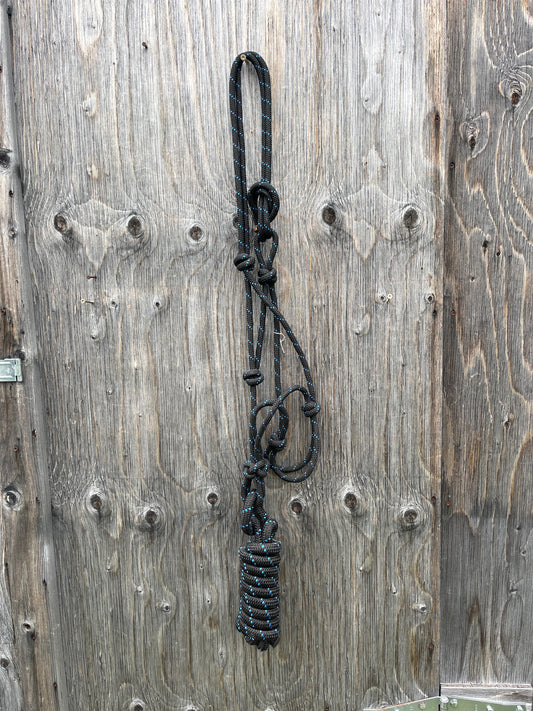 Rope halter with lead