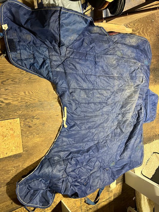 72β champion winter turnout