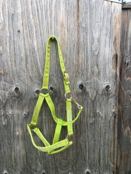 Used ger ryan cob halter