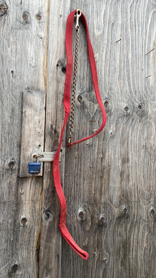 Red nylon lead with chain